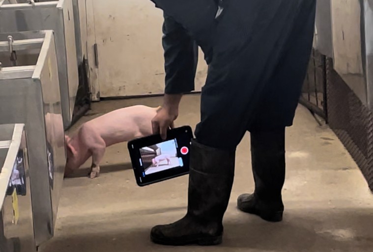 Field Data Collection