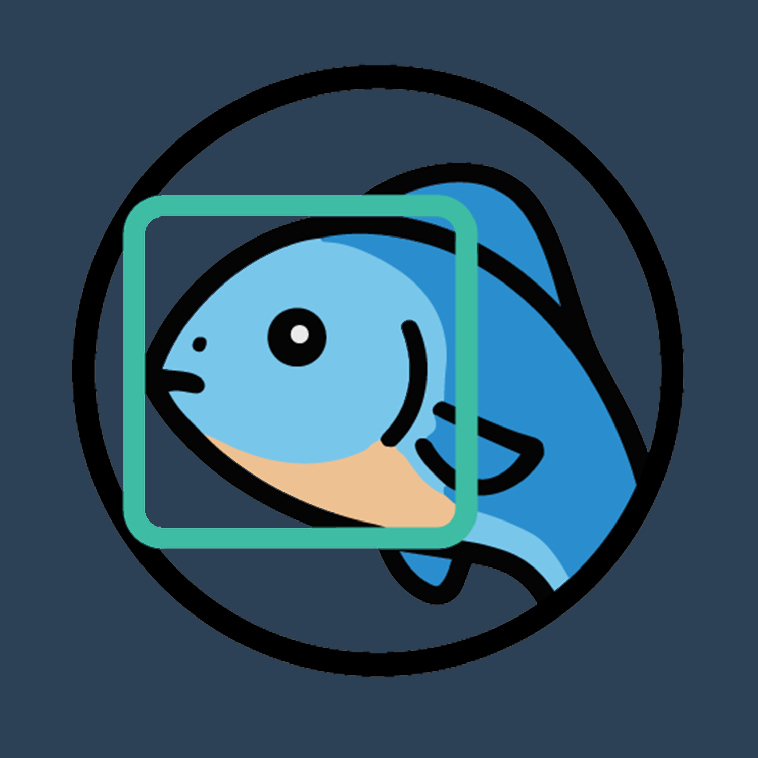 River Fish CV Project