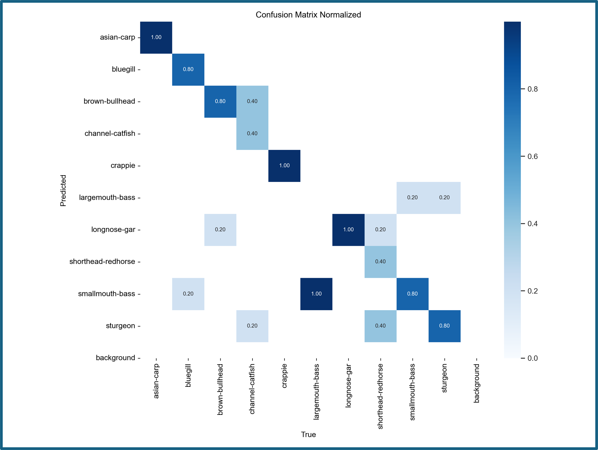 Confusion Matrix