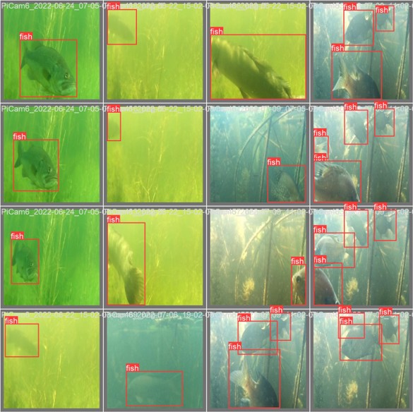Model Training Graph