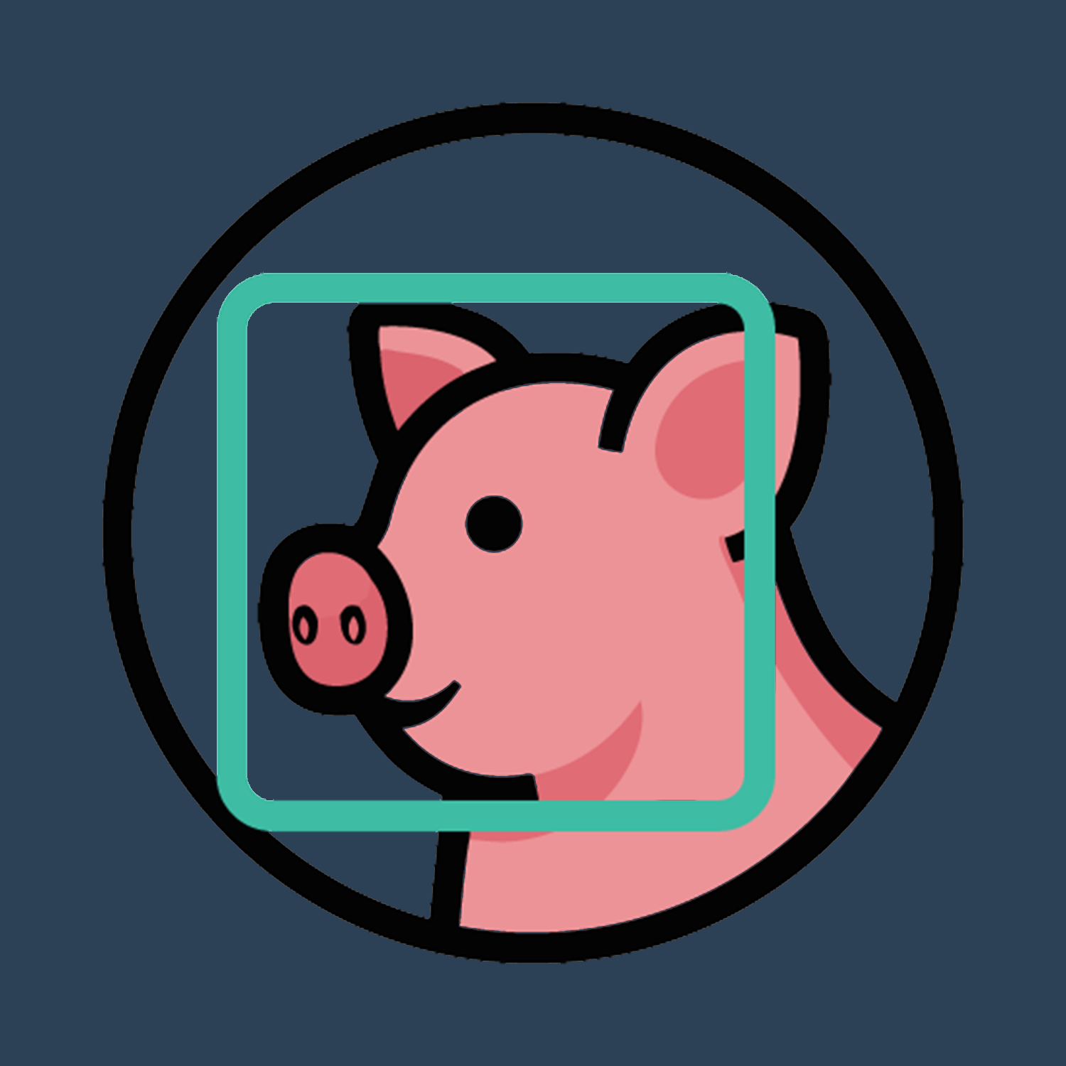 Swine Detection and Individual Identification